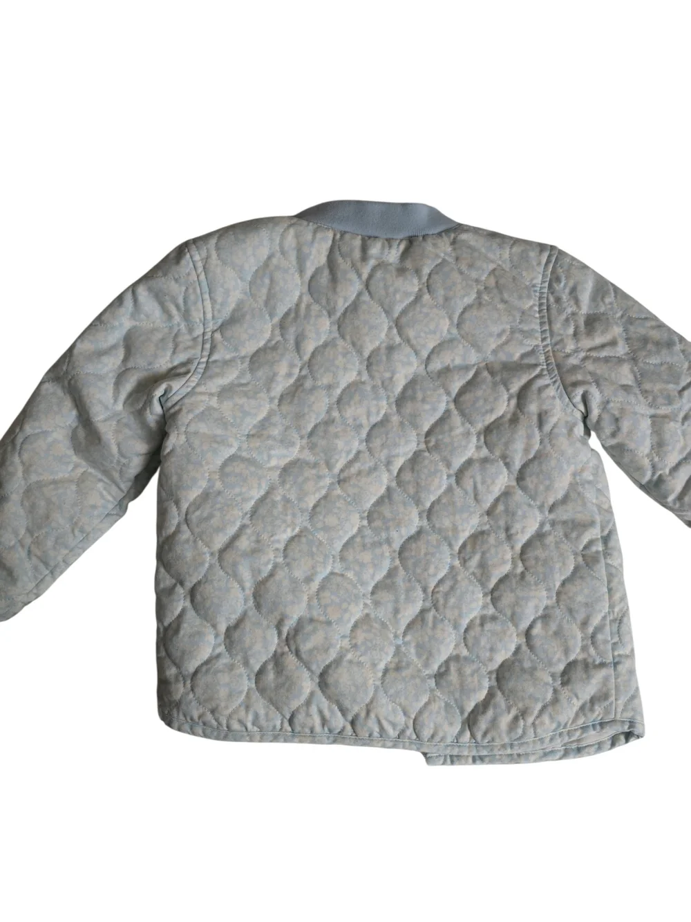Carters soft light